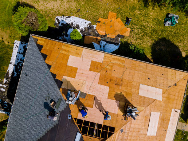 Best Roof Gutter Cleaning  in Augusta, KY