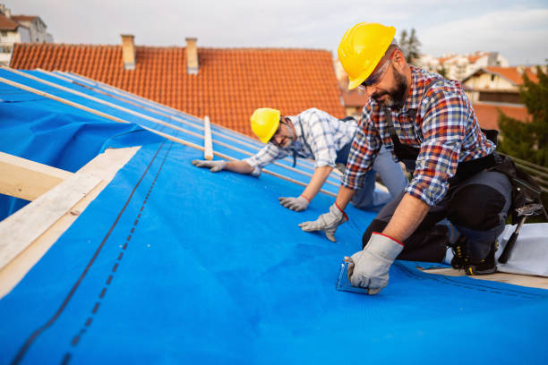 Best Metal Roofing Contractor  in Augusta, KY